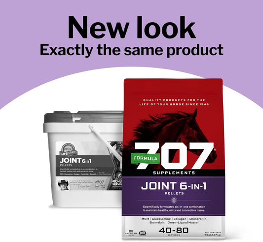 Joint 6In1 Equine Supplement, Daily Fresh Packs – Support for Joint Integrity and Inflammatory Response in Horses – Green-Lipped Mussel, MSM, Glucosamine, Chondroitin & Collagen