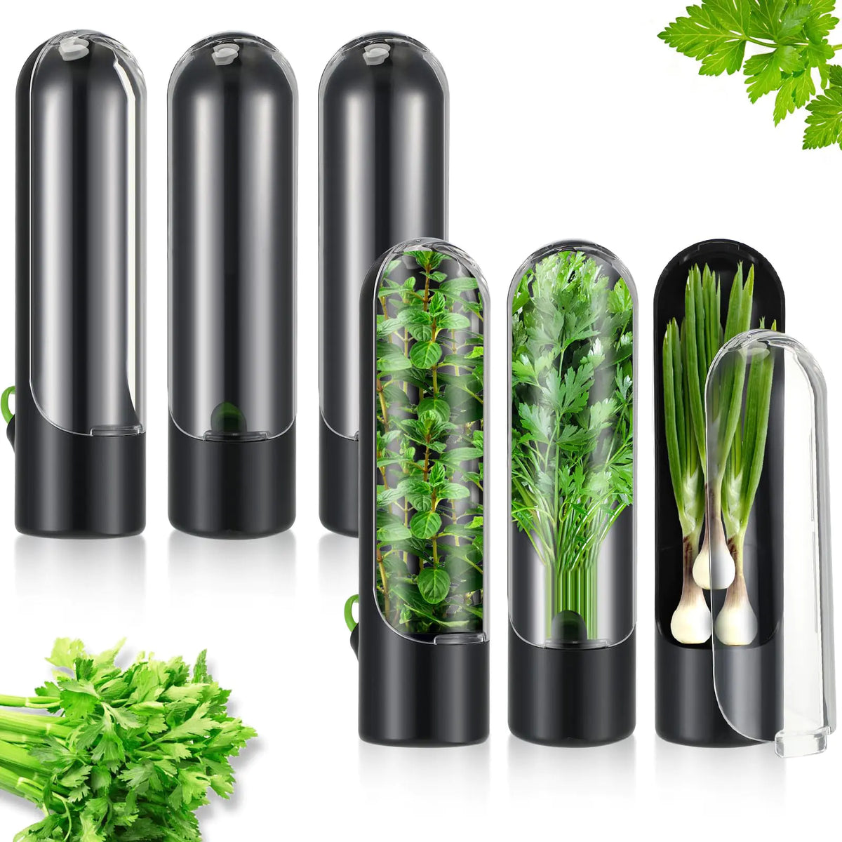 Mifoci 6 Pack Herb Saver Pod Herb Saver for Refrigerator Herb Keeper Cilantro Container Herb Storage Containers Herb Holder for Fridge Parsley Asparagus Cilantro Keeps Fresh for 2-3 Weeks