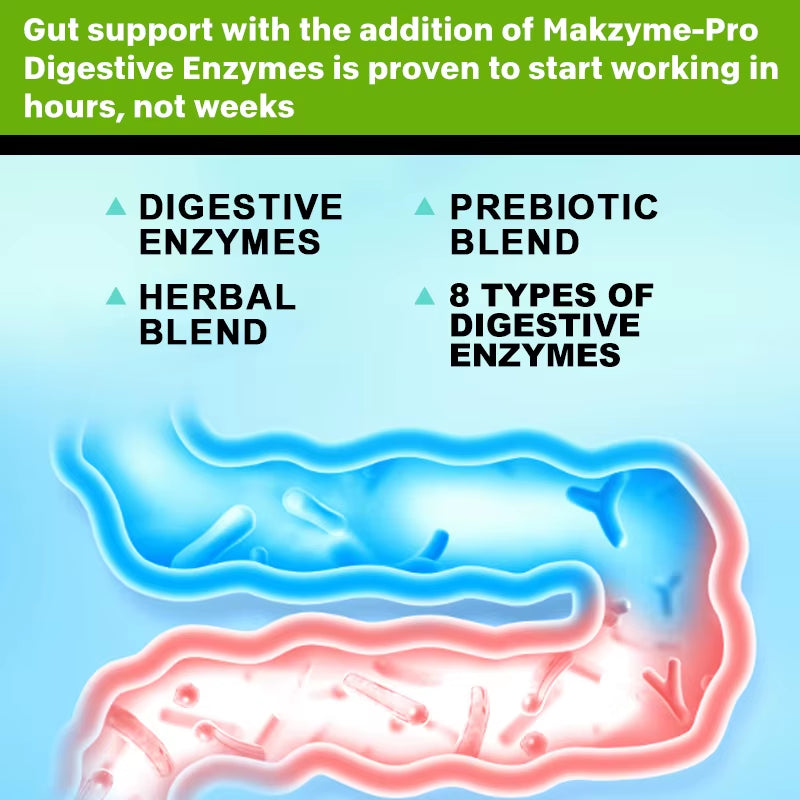 Digestive Enzyme Supplements for Adults Digestive Enzyme Capsules Beneficial Bacteria Immune System Support and Healthy Digestio