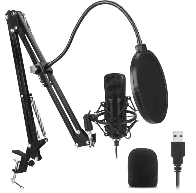 Plug In Microphone Plug & Play USB Microphone β Selectups