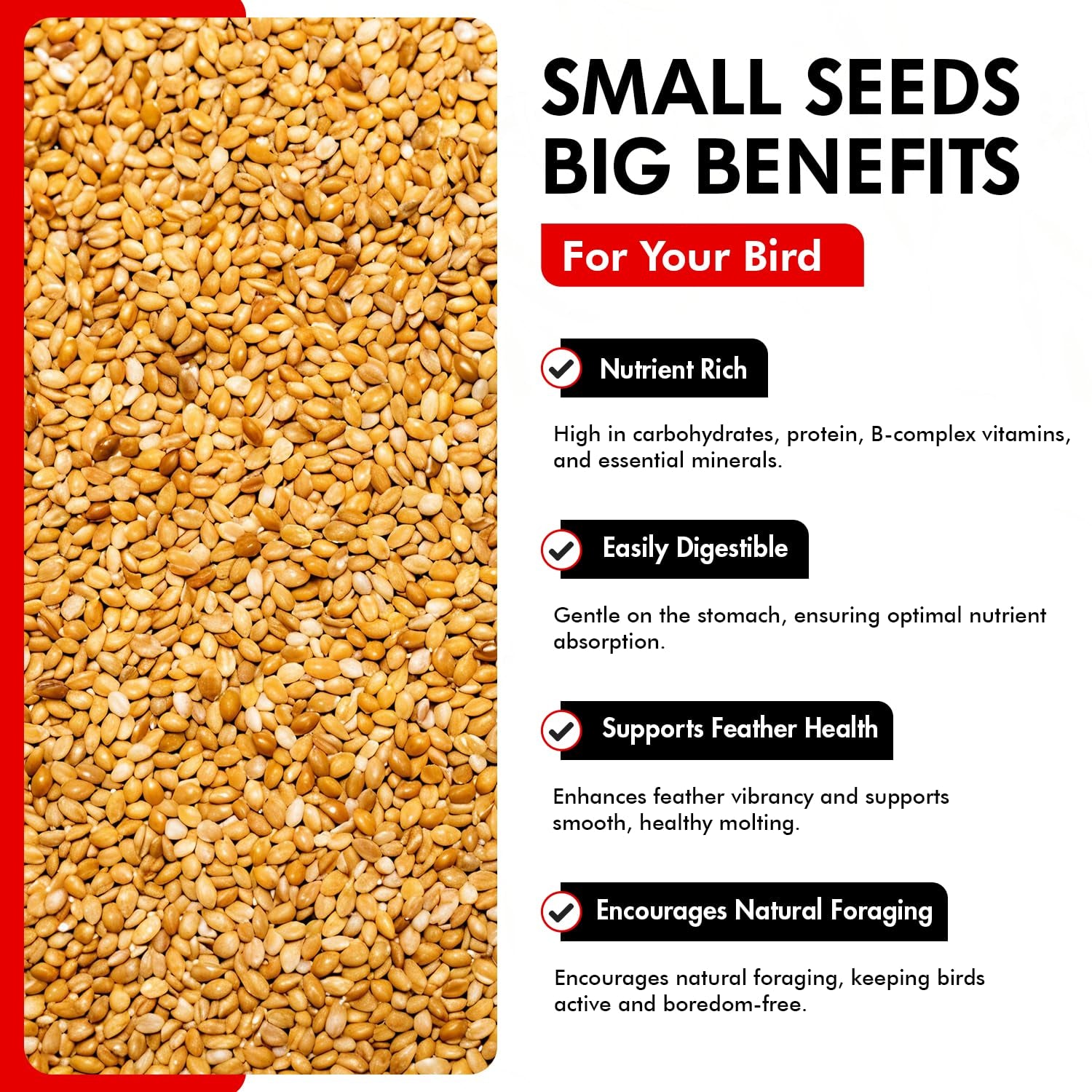Golden German Millet – Bird Seed & Parakeet Food with Protein, Vitamin B & Fiber – Easy-To-Digest Millet Seed, Natural Food & Daily Nutrition Supplement for All Type of Bird 1.5 Lbs