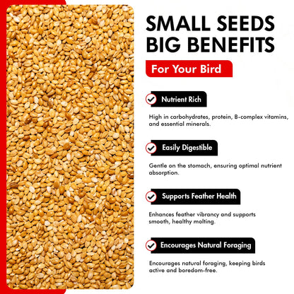 Golden German Millet – Bird Seed & Parakeet Food with Protein, Vitamin B & Fiber – Easy-To-Digest Millet Seed, Natural Food & Daily Nutrition Supplement for All Type of Bird 1.5 Lbs