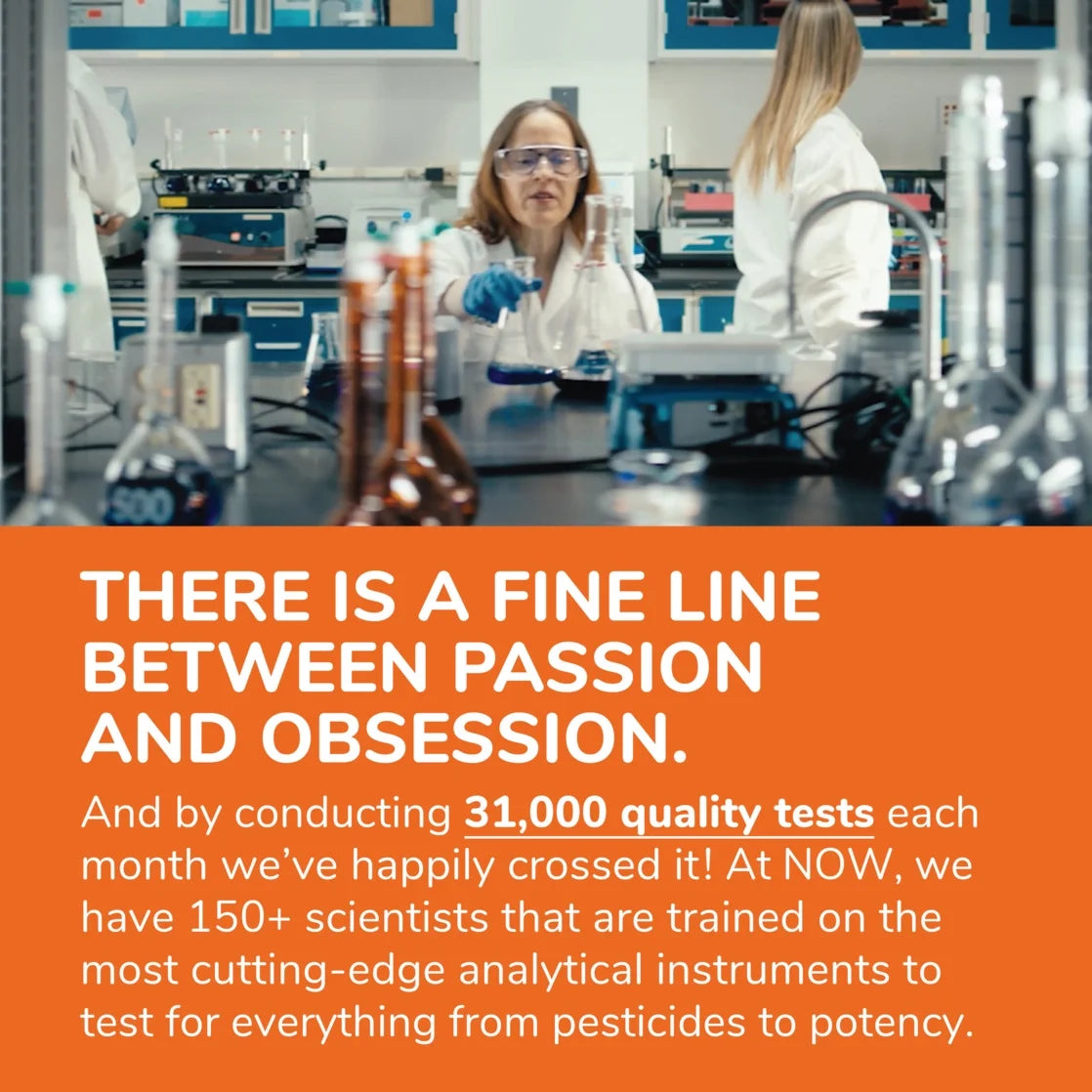 (2 Pack)  Supplements, Maca (Lepidium Meyenii) 500 Mg, for Men and Women, Reproductive Health*, 100 Veg Capsules