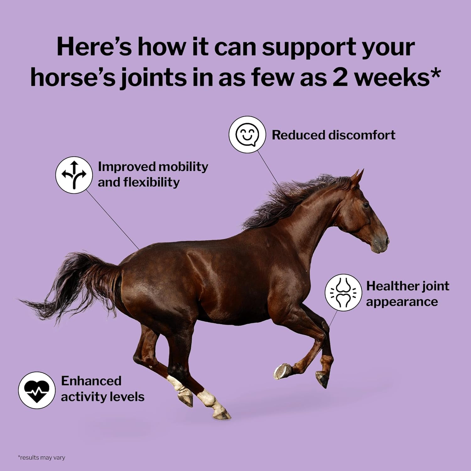 Joint 6In1 Equine Supplement, Daily Fresh Packs – Support for Joint Integrity and Inflammatory Response in Horses – Green-Lipped Mussel, MSM, Glucosamine, Chondroitin & Collagen