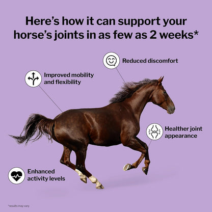 Joint 6In1 Equine Supplement, Daily Fresh Packs – Support for Joint Integrity and Inflammatory Response in Horses – Green-Lipped Mussel, MSM, Glucosamine, Chondroitin & Collagen