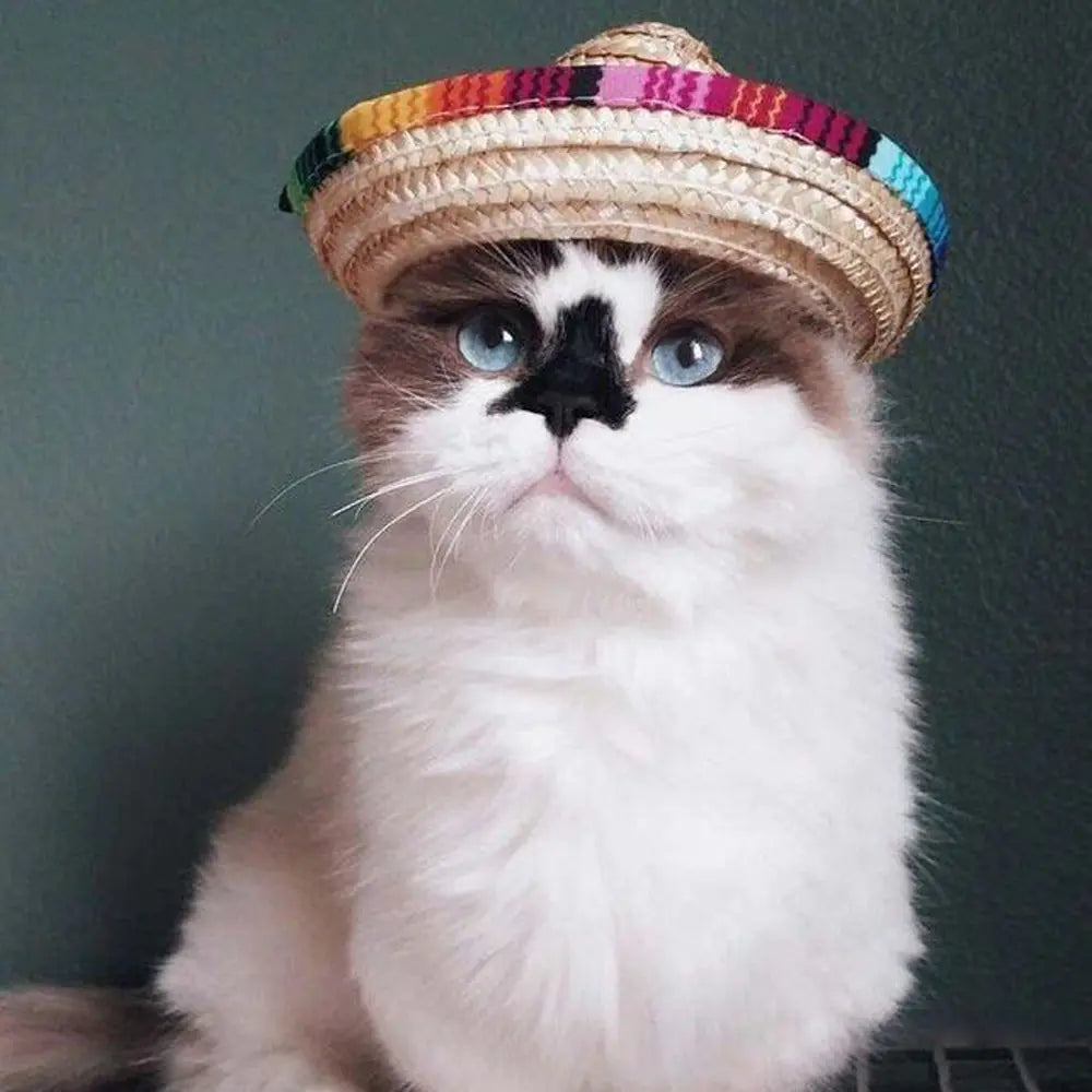 Pet Sun Hat for Dogs and Cats, Pet Accessories