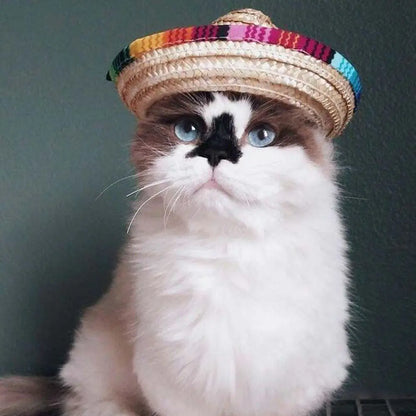 Pet Sun Hat for Dogs and Cats, Pet Accessories