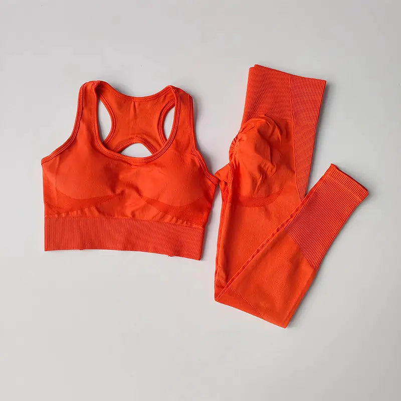 Verolux Tracksuit with Women's Sports Bra Set (One Set)