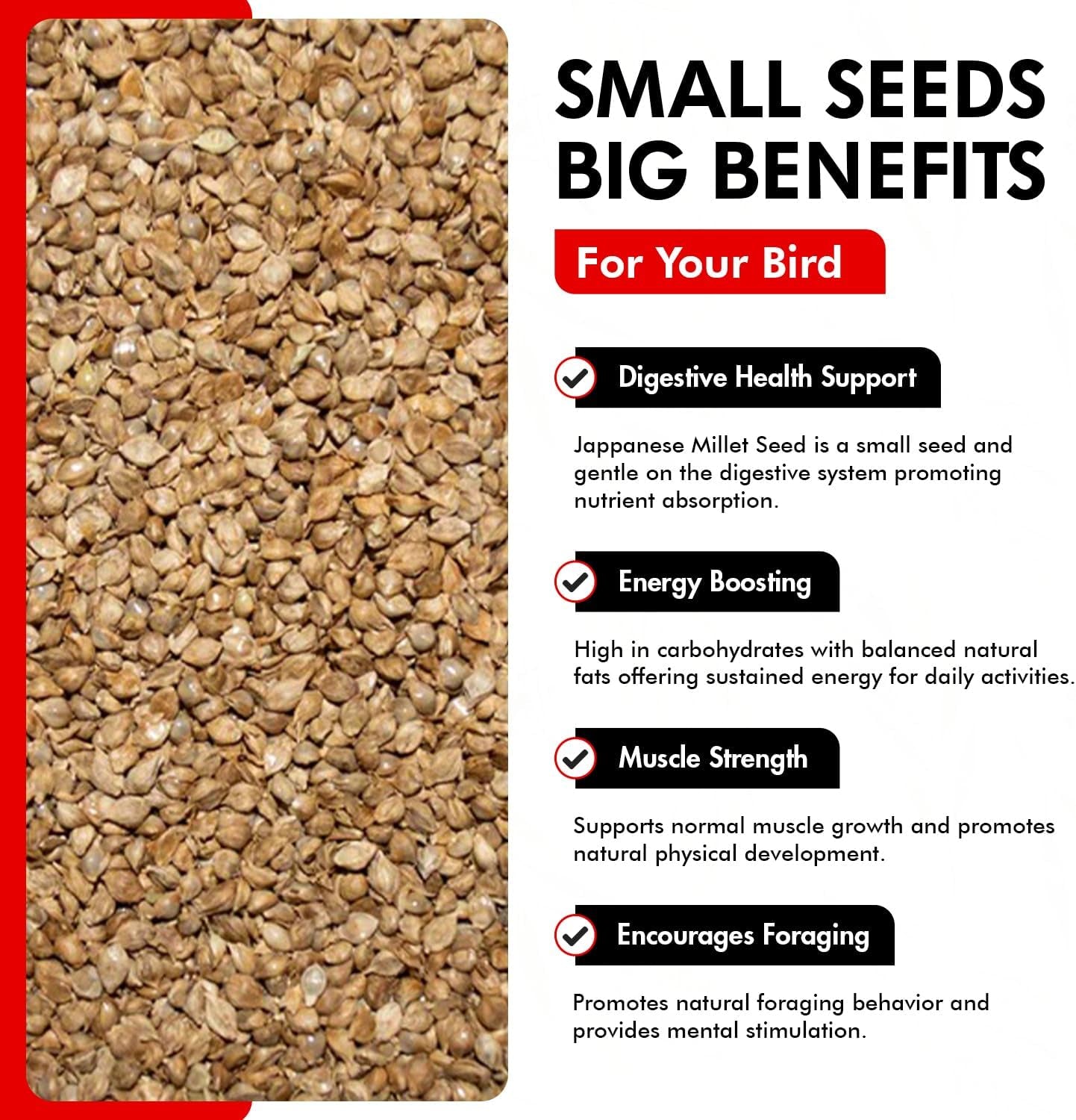 Japanese Millet Seed - Healthy & Nutritious Pet Bird Food to Support Health - Rich in Vitamins and Supplements – Ideal Bird Feed for All Seed Eating Birds 4.5 Lbs (3-Pack, 1.5 Lbs Each)