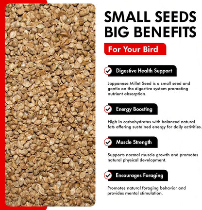 Japanese Millet Seed - Healthy & Nutritious Pet Bird Food to Support Health - Rich in Vitamins and Supplements – Ideal Bird Feed for All Seed Eating Birds 4.5 Lbs (3-Pack, 1.5 Lbs Each)