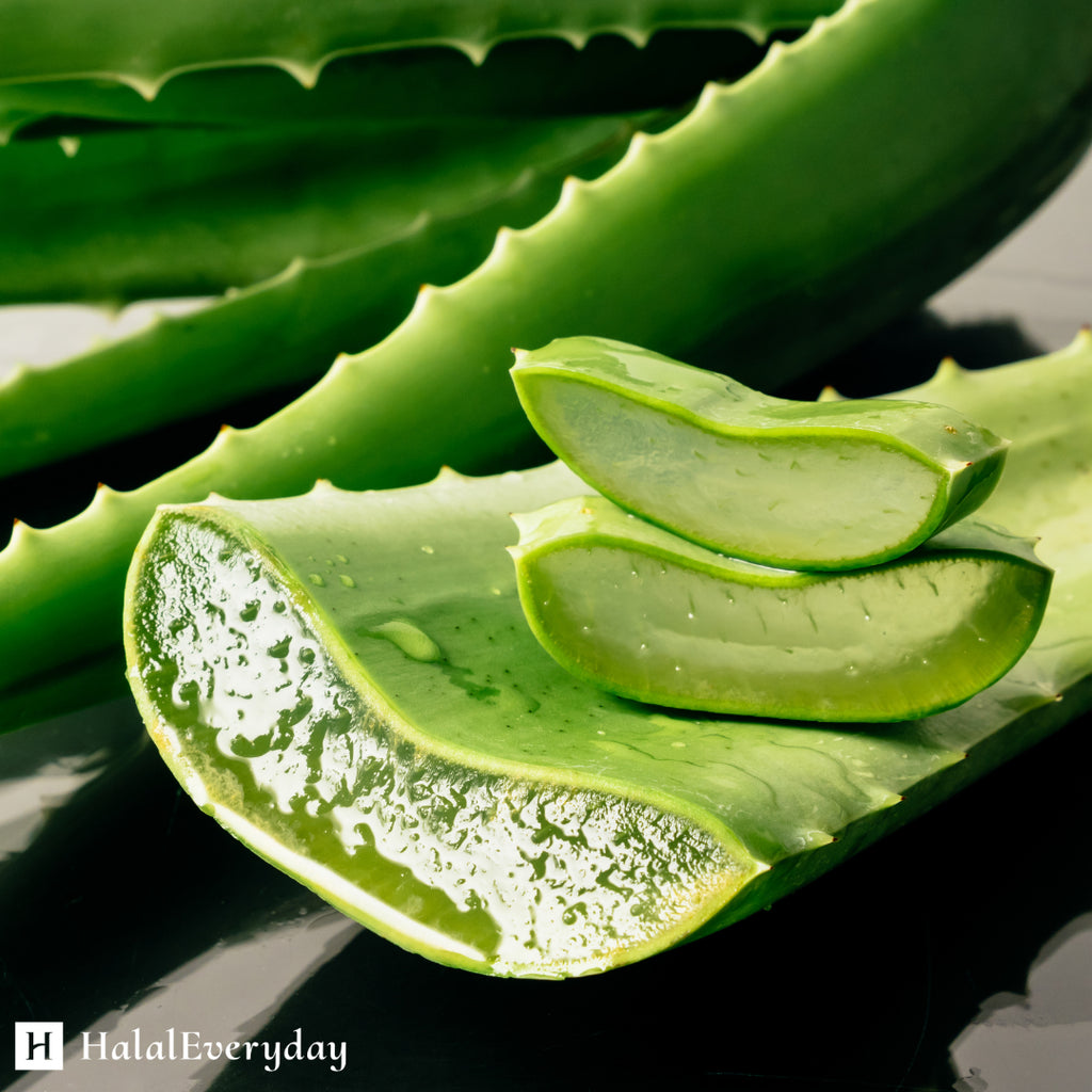 100% Pure Aloe Vera Gel - Organic Skin Care Soothing Moisturizing Cosmetic Grade