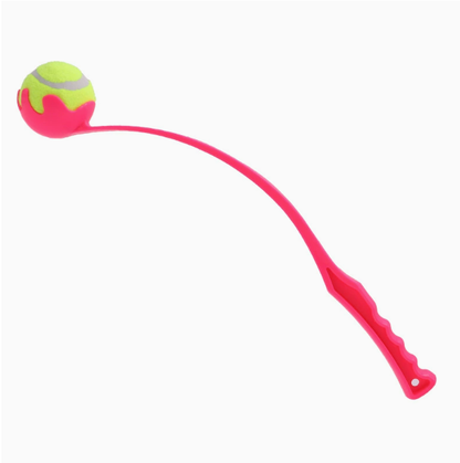 Pet Ball Launcher for Dog Training