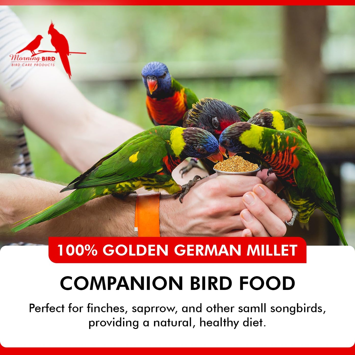 Golden German Millet – Bird Seed & Parakeet Food with Protein, Vitamin B & Fiber – Easy-To-Digest Millet Seed, Natural Food & Daily Nutrition Supplement for All Type of Bird 1.5 Lbs