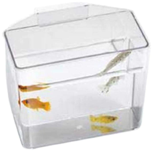 Lees Pet Products ALE10516 Heavy Duty Specimen Container for Aquarium Small