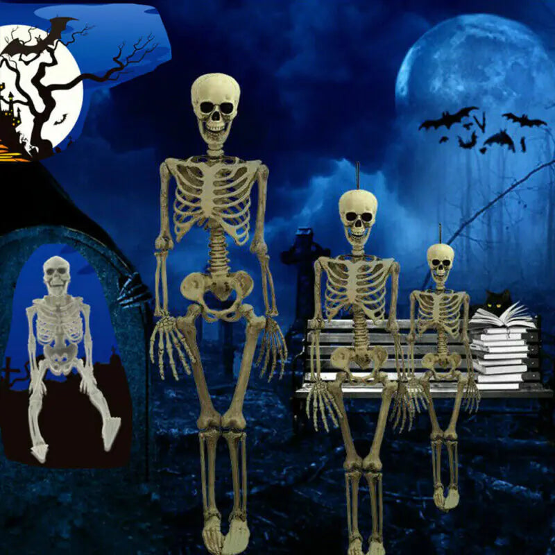Realistic Skeleton Model