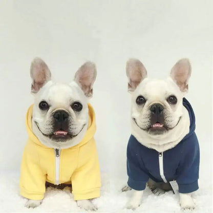 Tip Hooded Tracksuit for Comfort and Style