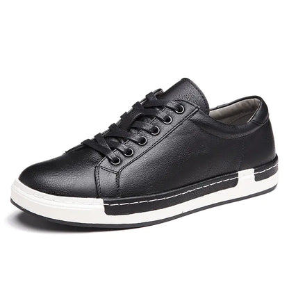 Casual Shoes, Leather Shoes, Skate Shoes