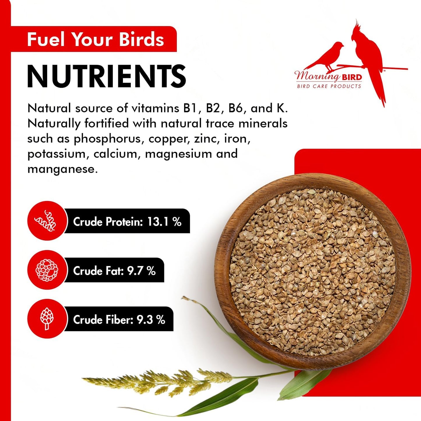 Japanese Millet Seed - Healthy & Nutritious Pet Bird Food to Support Health - Rich in Vitamins and Supplements – Ideal Bird Feed for All Seed Eating Birds 4.5 Lbs (3-Pack, 1.5 Lbs Each)
