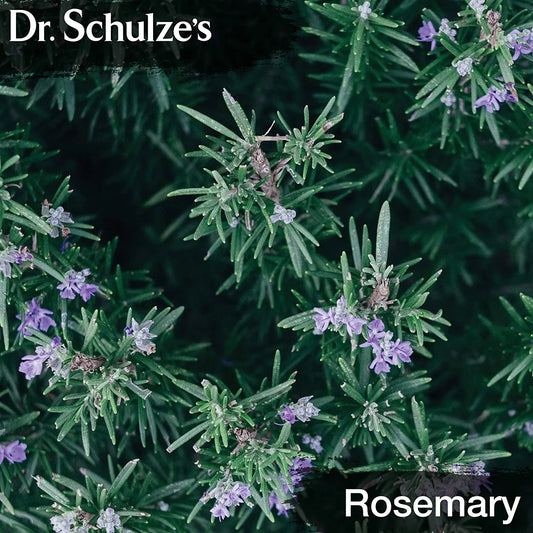 Dr.Schulze'S Brain Herbal Supplements with Ginkgo Biloba for Memory and Focus, Vegan,Stimulates Circulation 2 Oz.
