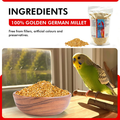 Golden German Millet – Bird Seed & Parakeet Food with Protein, Vitamin B & Fiber – Easy-To-Digest Millet Seed, Natural Food & Daily Nutrition Supplement for All Type of Bird 1.5 Lbs