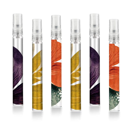 Facewegen 6 Pcs Portable Travel Refillable Perfume Atomizer Bottle10ml Perfume Atomiser BottlesFragrance Spray Bottle Scent Pump Case for Women and Men