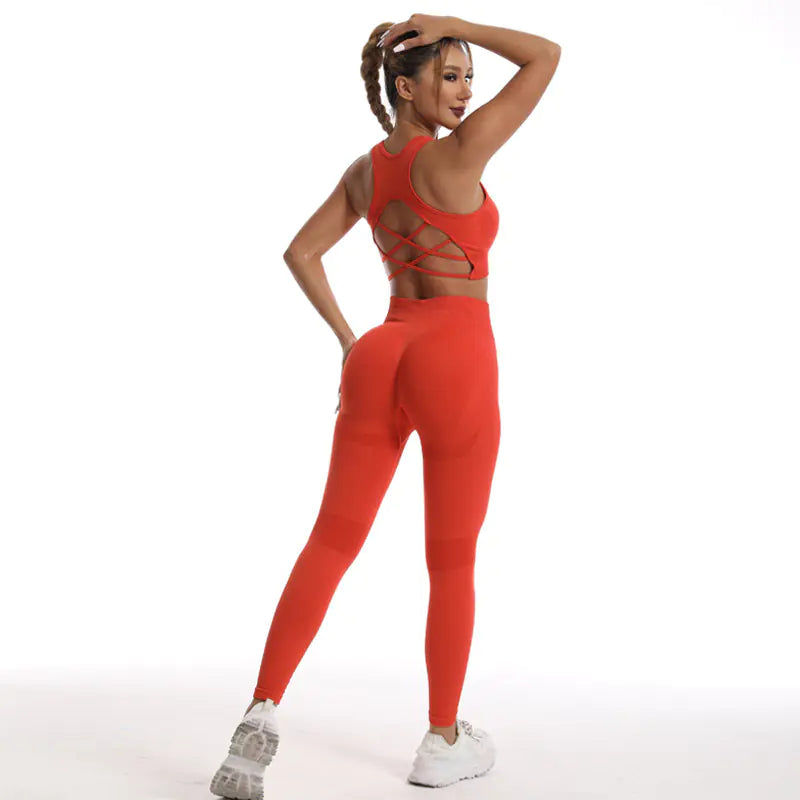 Verolux Tracksuit with Women's Sports Bra Set (One Set)